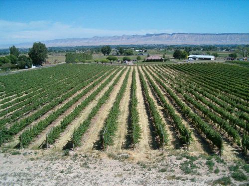 3107 A 1/2 Rd, Grand Junction, CO, 81503-9662 | Card Image