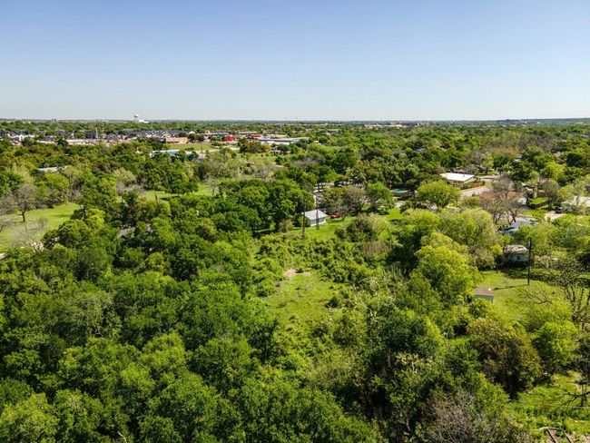 Bird's eye view of a forest | Image 6