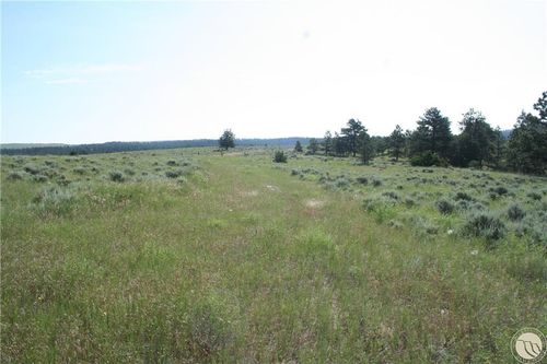 Lot 74 High Pines Blf, Columbus, MT, 59019-7234 | Card Image