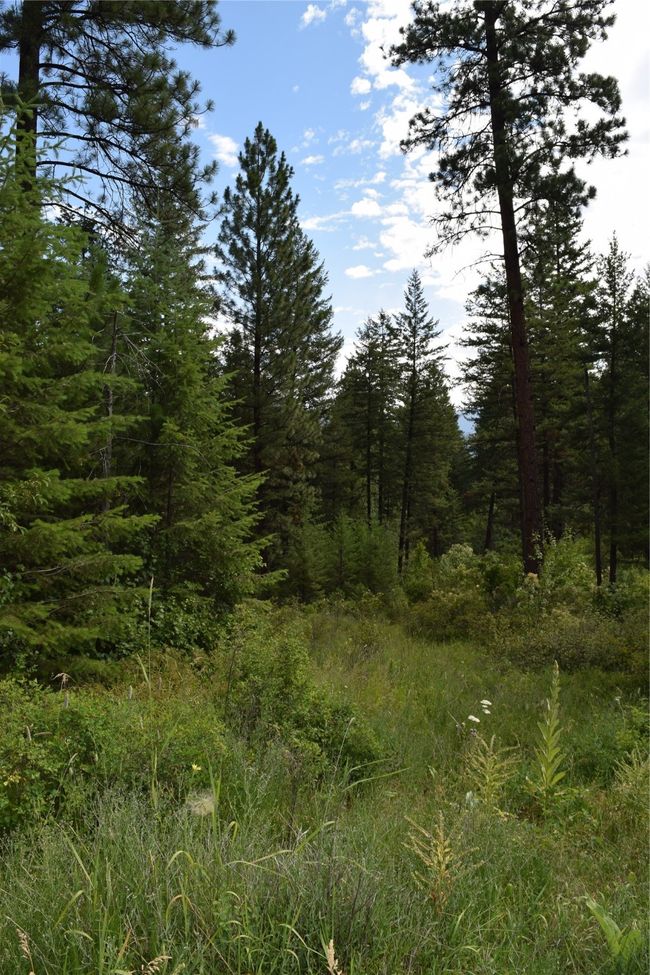 73487 Arlee Pines Dr, Home with 0 bedrooms, 0 bathrooms and null parking in Arlee MT | Image 7