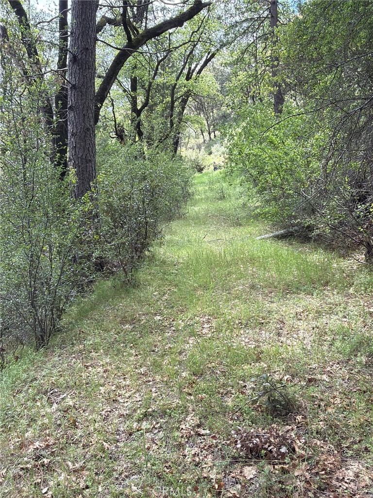Land in Coulterville 2