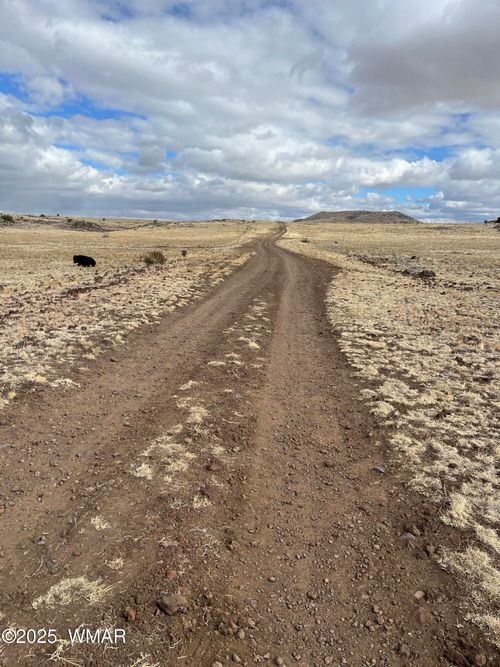 TBD N3540 Lot 500, Concho, AZ, 85924 | Card Image