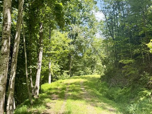 Lot 3 Wild Laurel, Brasstown, NC, 28902 | Card Image