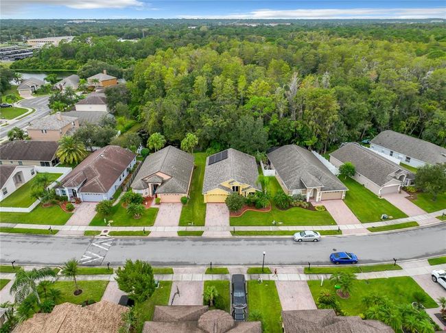 307 Bay Arbor Blvd, House other with 4 bedrooms, 3 bathrooms and null parking in OLDSMAR FL | Image 45