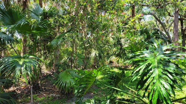 5050 Hanging Moss Ln, House other with 3 bedrooms, 3 bathrooms and null parking in SARASOTA FL | Image 31