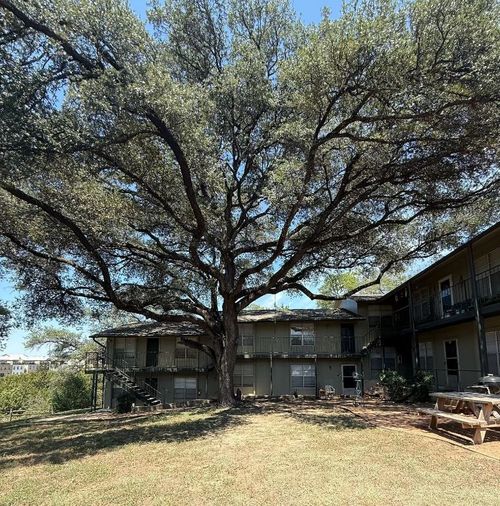 apt-104-509 Cedar Dr, Georgetown, TX, 78628-4119 | Card Image