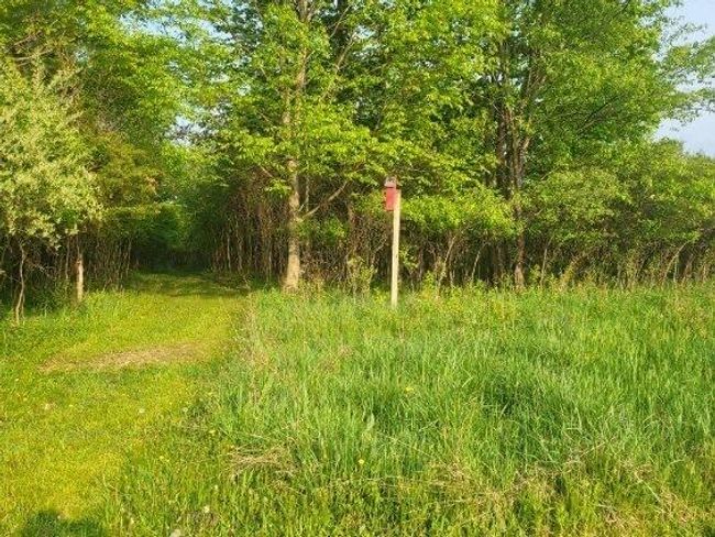 image000007 | Image 34