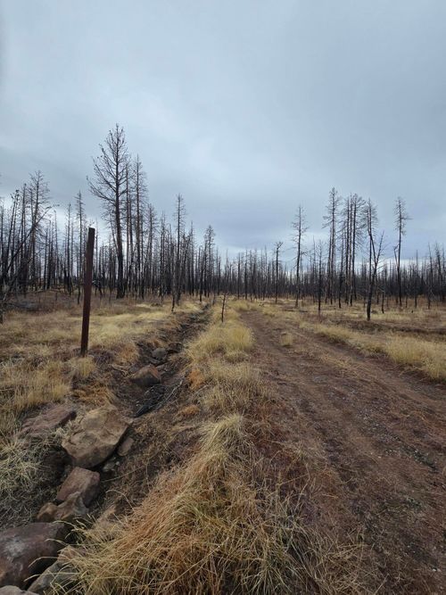 173-acres- Bull Pine Road, Bly, OR, 97622 | Card Image