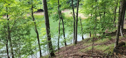 2109 Kahiti Ct, Mooresburg, TN, 37811-2661 | Card Image