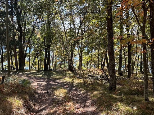 3983 E Robinson Lake Rd, Home with 0 bedrooms, 0 bathrooms and null parking in BARNES WI | Image 18