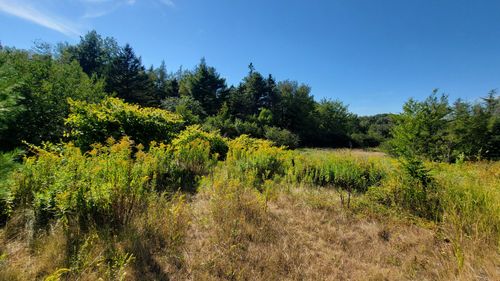 23 Bay Road, Jonesboro, ME, 04648 | Card Image