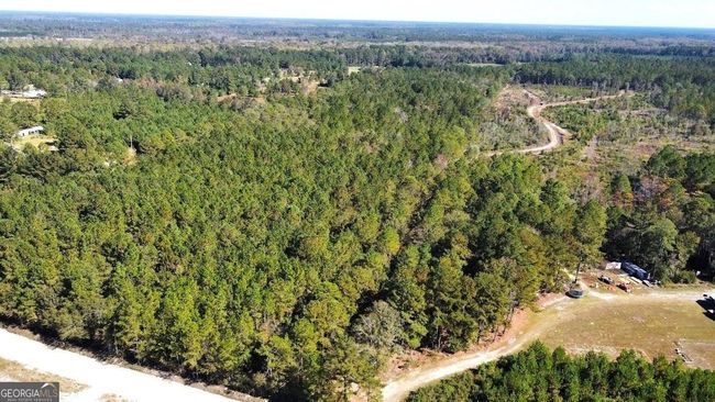 268-ACRES - 99 Old Happy Ln, Home with 0 bedrooms, 0 bathrooms and null parking in Brooklet GA | Image 19