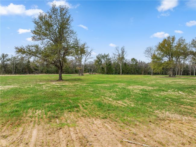 View of yard | Image 12