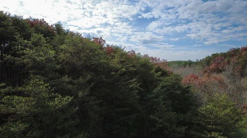 Tract 30 Gillespie Rd Se, Fairmount, GA, 30139 | Card Image