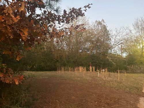 1207 Independence Dr, Longview, TX, 75604-2235 | Card Image