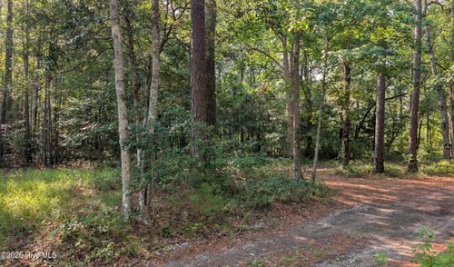 310 Sassafras Ln Sw, Supply, NC, 28462-4006 | Card Image