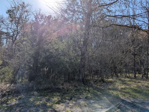 2 S Forest Cove Loop, Coldspring, TX, 77331-3118 | Card Image
