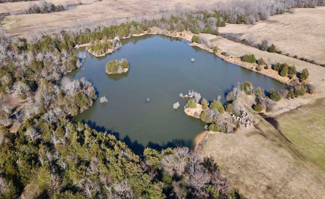 000 Brewer Rd, Home with 0 bedrooms, 0 bathrooms and null parking in Conway AR | Image 11