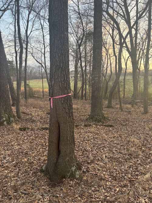 625 Robert Smith Rd, Mc Minnville, TN, 37110-6737 | Card Image