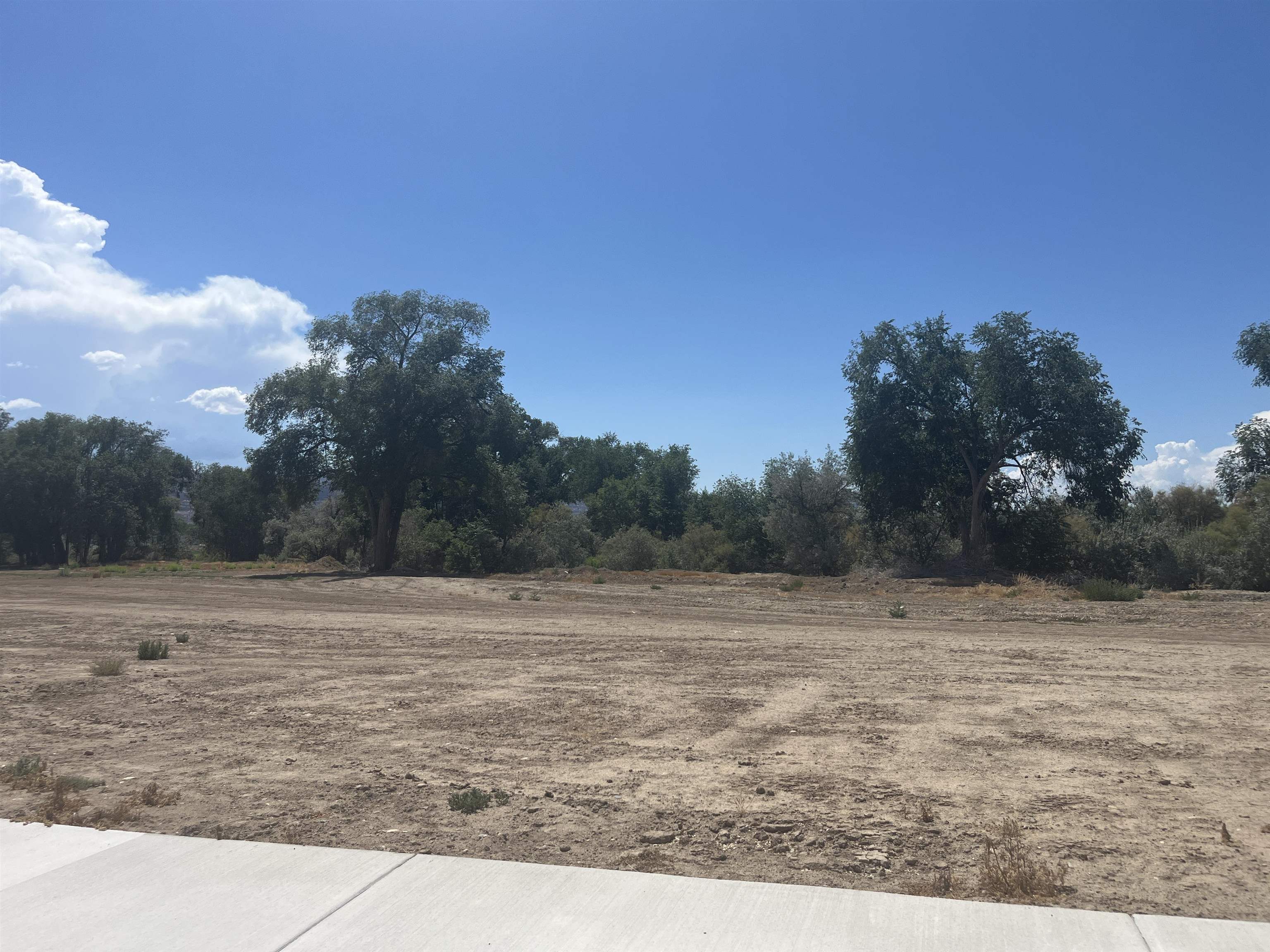 Land in Fruita
