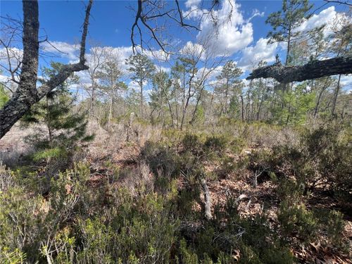 131 Quail Way, Hawthorne, FL, 32640-4260 | Card Image