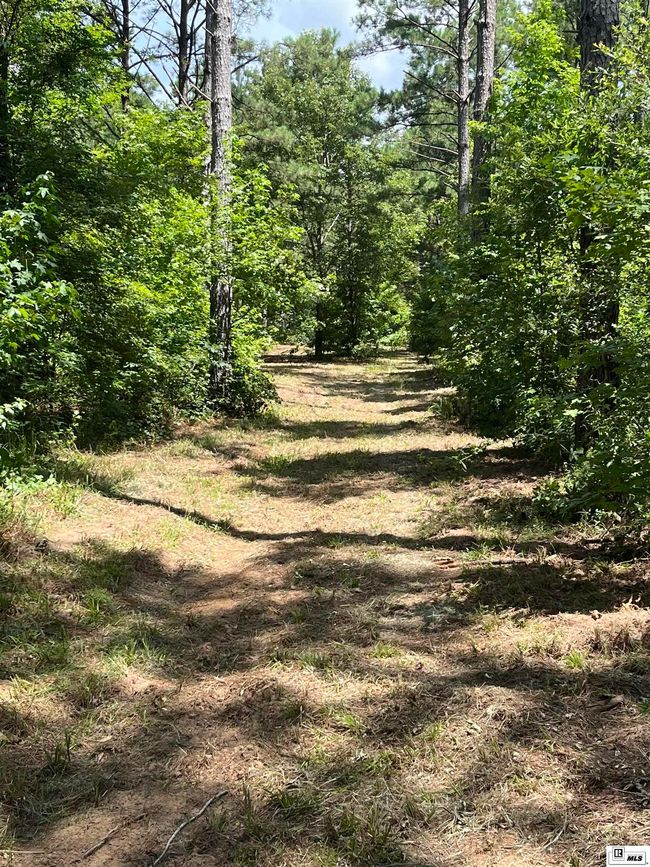 000 Highway 146, Home with 0 bedrooms, 0 bathrooms and null parking in Ruston LA | Image 22