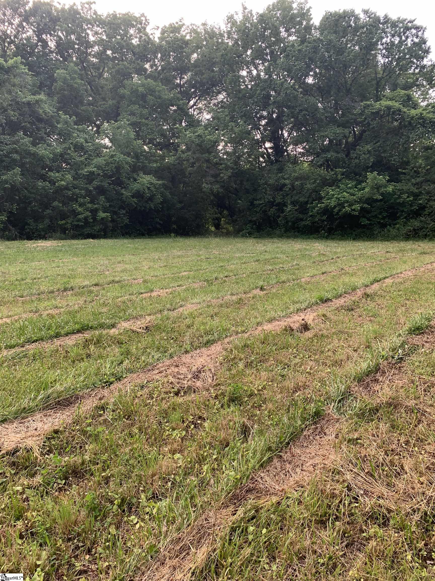 Land in Laurens 2
