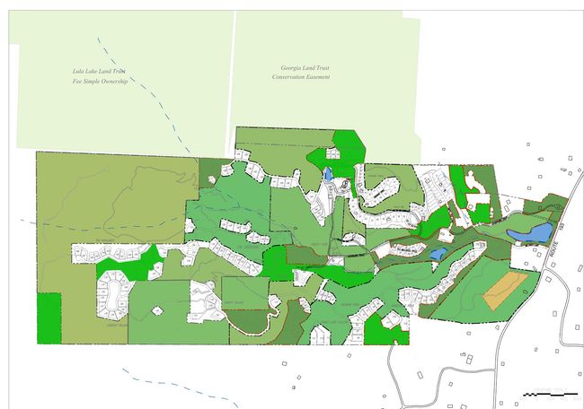 Cloudland Station Neighborhood and conservation land | Image 4