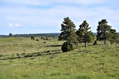 00 Chama West S/D, Home with 0 bedrooms, 0 bathrooms and null parking in Chama NM | Image 1