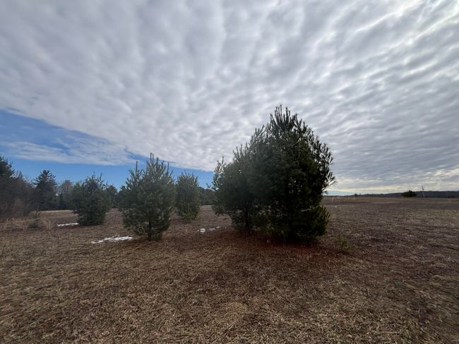 12 N Oak Ave, Home with 0 bedrooms, 0 bathrooms and null parking in Paris MI | Image 19