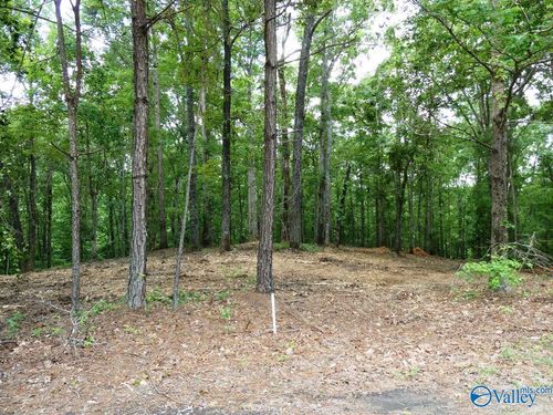 Lot 77 Broken Arrow Trl, Jasper, AL, 35504 | Card Image