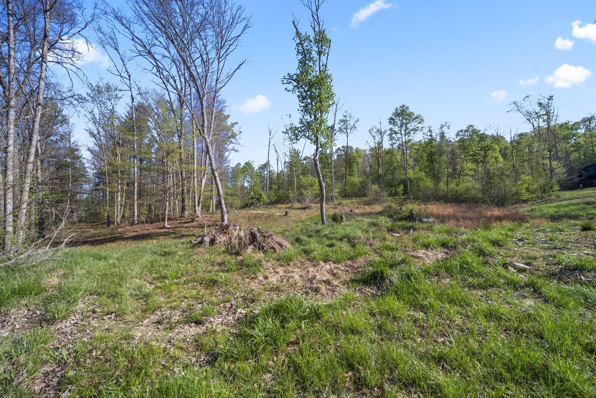 Land in Chillicothe 2