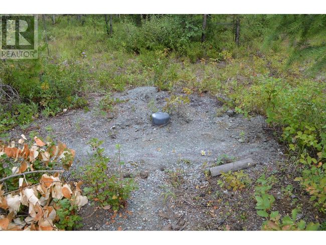Lot 1 3 Rd St, Home with 0 bedrooms, 0 bathrooms and null parking in Kootenay Boundary BC | Image 9