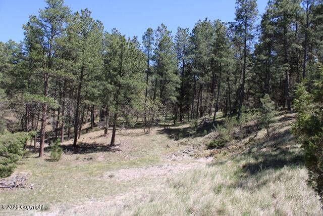 Land in Hulett 3