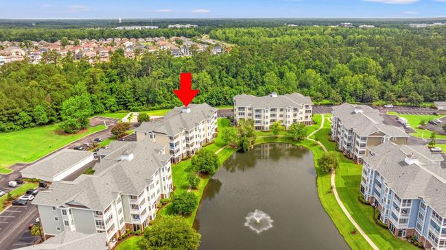 Aerial view of a large body of water and a heavily wooded area | Image 30