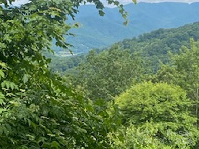 11 - 99999 Curtis Creek Rd, Home with 0 bedrooms, 0 bathrooms and null parking in Candler NC | Image 6