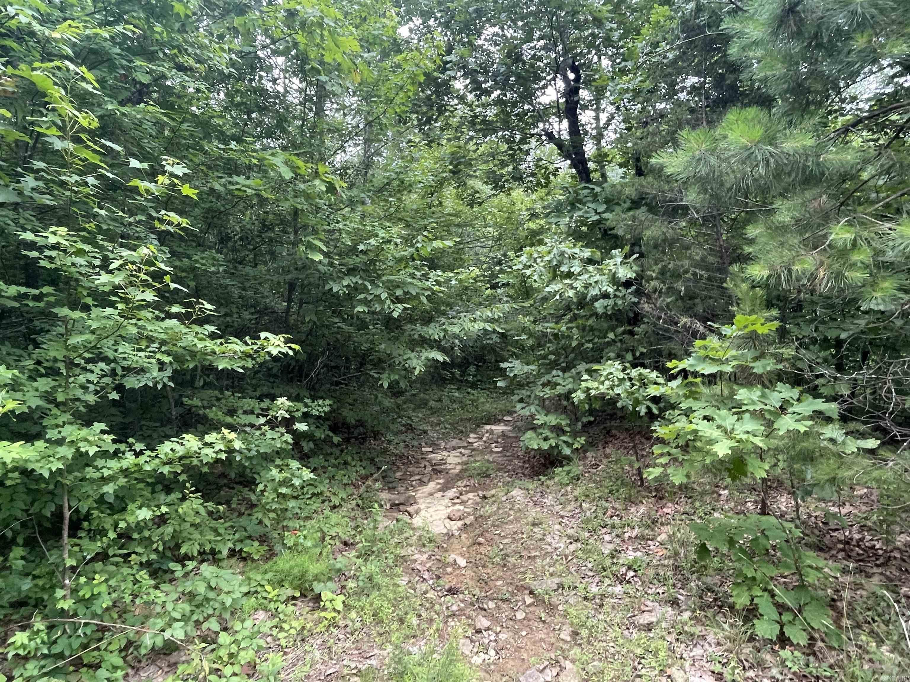 Land in Clinton 3