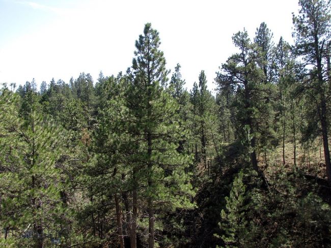 SC-28 - TBD Lone Rock Canyon Lane, Home with 0 bedrooms, 0 bathrooms and null parking in Hysham MT | Image 15