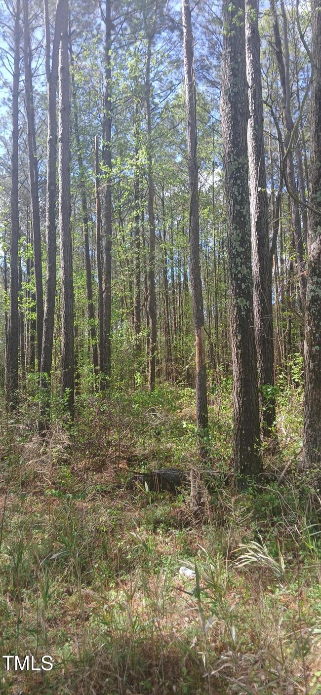 Vancant Lot | Image 8