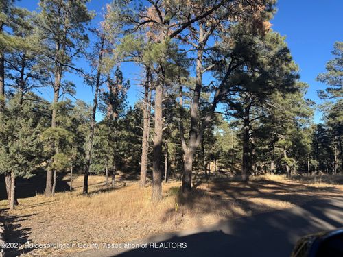 123 Walter Hagen Dr, Alto, NM, 88312-8152 | Card Image