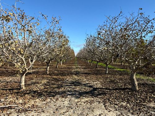 28000 Jayne Ave, Coalinga, CA, 93210 | Card Image