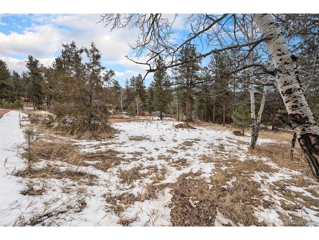 12362 S Polly Dr, Home with 0 bedrooms, 0 bathrooms and null parking in Pine CO | Image 10