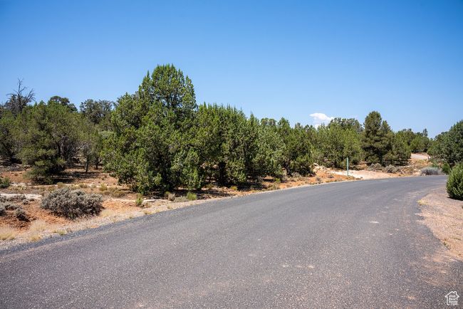 View of road | Image 16