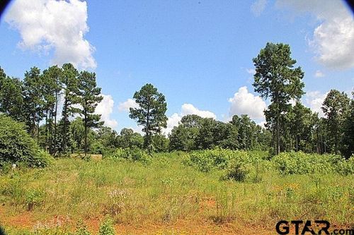 930 Stone Chimney Rd. (Lot 18 Cr 3608), Bullard, TX, 75757 | Card Image