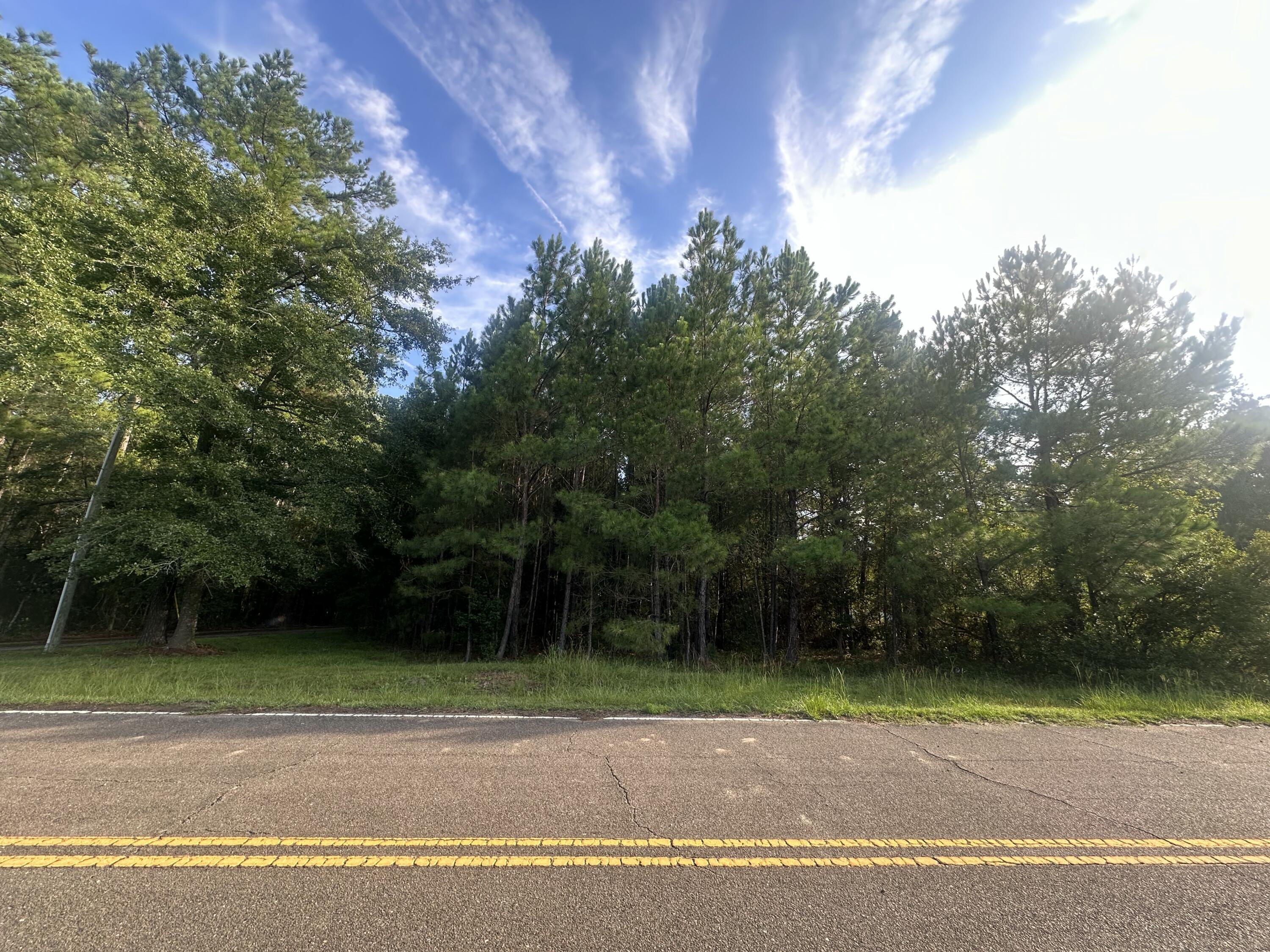 Land in Jamestown 2