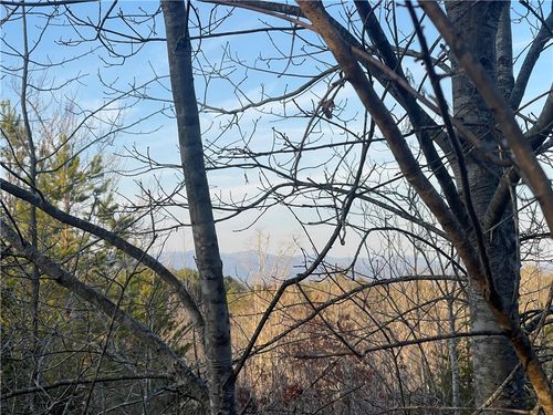 00 Walking Tall Ridge, Tamassee, SC, 29686 | Card Image