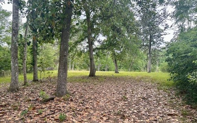 0 Ne 22 Nd Ct, Home with 0 bedrooms, 0 bathrooms and null parking in BRANFORD FL | Image 5