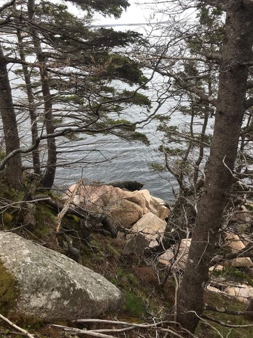 1614 + 1618 Terence Bay Road, Terence Bay, NS, B3T1X8 | Card Image