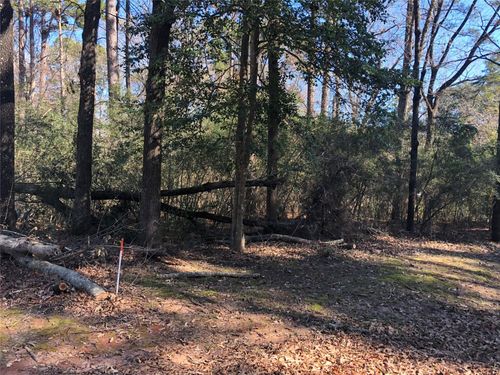 0 Pike Ln, Hemphill, TX, 75948 | Card Image
