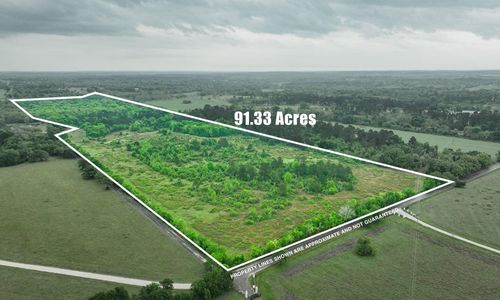 TBD County Road 204, Plantersville, TX, 77363 | Card Image